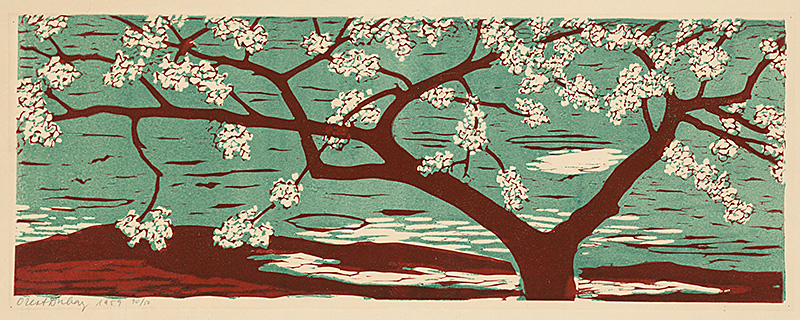 Dielo mesiaca Apríl: Orest Dubay: Kvitnúci strom