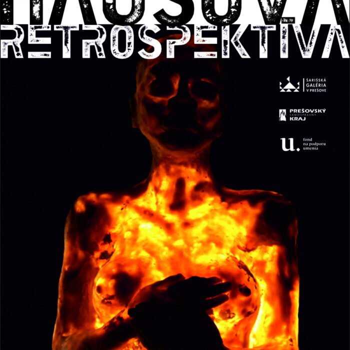 Obrázok pozvánky na verznisáž Anna Hausová - Retrospektíva