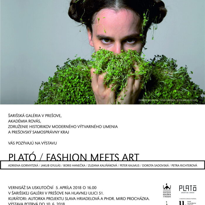 Plato _Fashion Meets Art