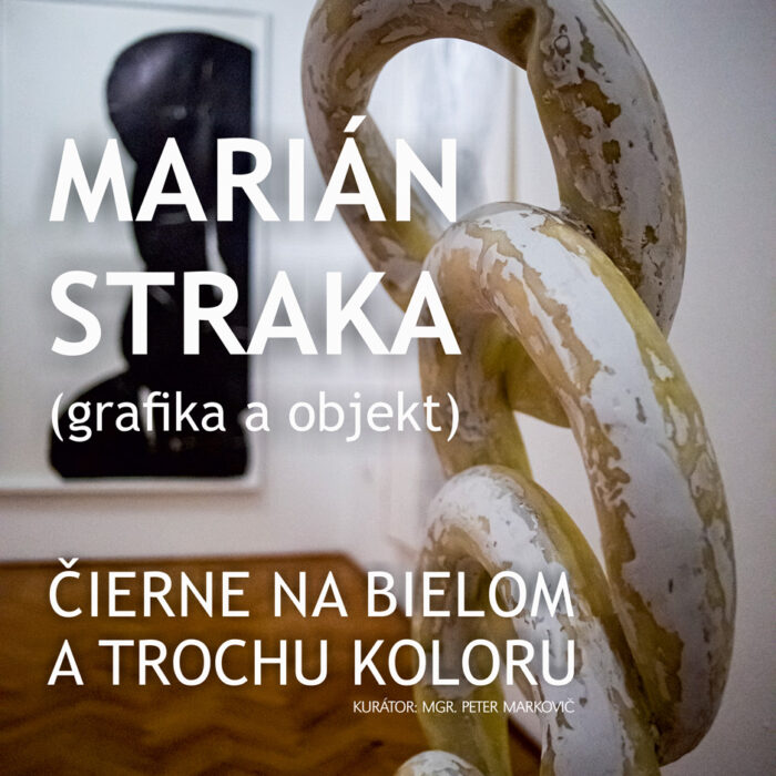 Straka-plagat