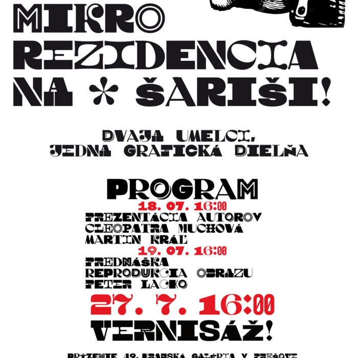 mikro rezidencia