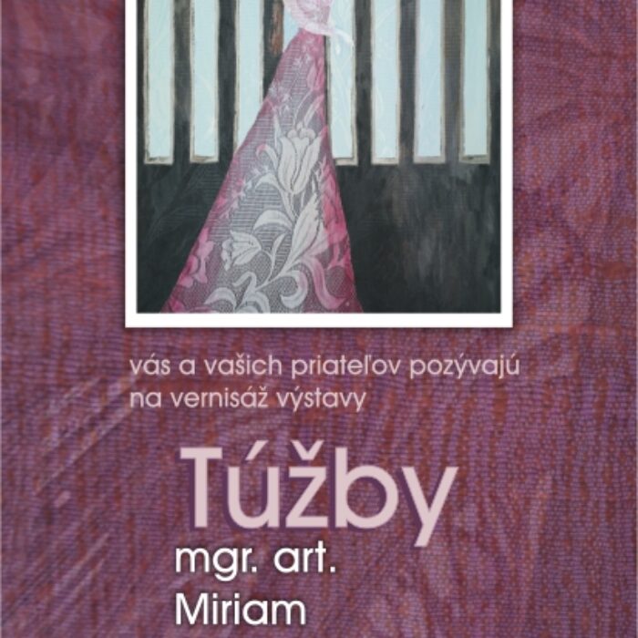 Túžby - výstava Miriam Kavuličovej-Tomašiakovej