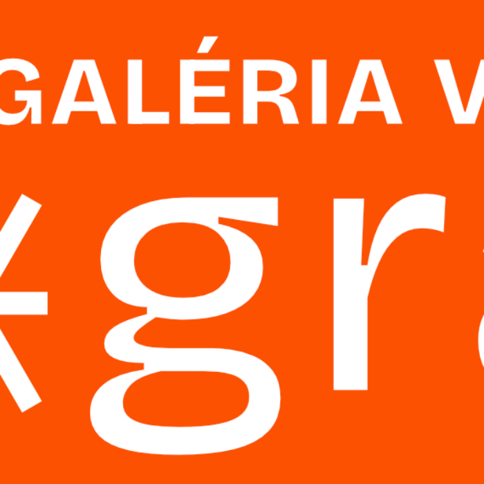 program_06_25_soc_siete